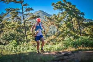 BIB: 
                            <button type="button" onclick="openModal(19252841)" class="btn btn-primary btn-sm float-right btn-popup" data-toggle="modal" data-target=".modal-high-quality">
                        <i class="fas fa-shopping-cart"></i> Add to Cart
                    </button>
                                            <button type="button" onclick="isThisMe(19252841, true)" class="btn btn-success btn-sm float-right btn-popup btn-isme hidden" data-toggle="tooltip" data-placement="bottom" title="นี่คือรูปของคุณใช่ไหม คลิกที่นี่เพื่อเอาเข้าอัลบั้ม">
                        <i class="fas fa-plus"></i> Add to album
                    </button>
                    <button type="button" onclick="isThisMe(19252841, false)" class="btn btn-warning btn-sm float-right btn-popup btn-isnotme hidden">
                        <i class="fas fa-ban"></i> Remove from album
                    </button>